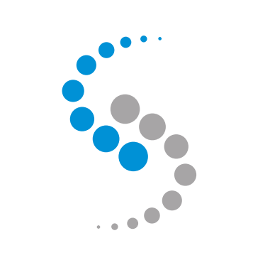 synapse_it_consultant_logo